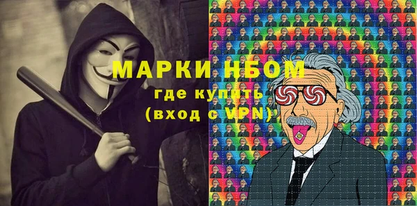 эйфоретик Ельня