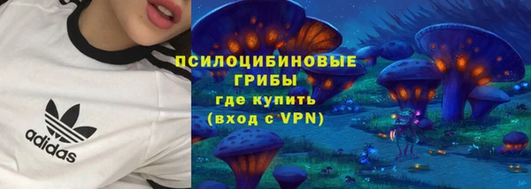 эйфоретик Ельня