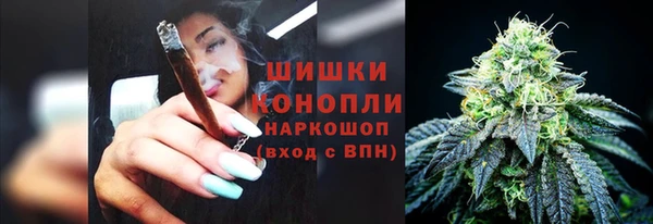 эйфоретик Ельня