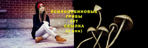 эйфоретик Ельня