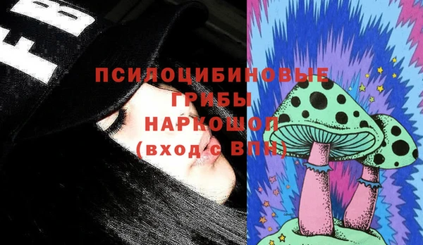 мескалин Елабуга