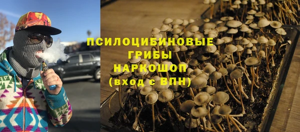 эйфоретик Ельня