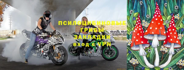 эйфоретик Ельня