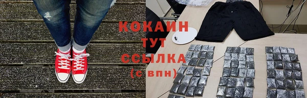 эйфоретик Ельня