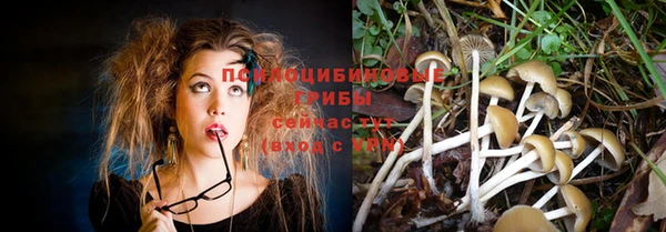 эйфоретик Ельня