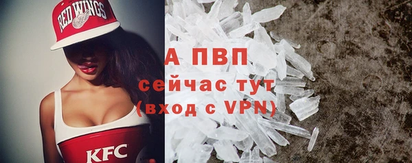 эйфоретик Ельня