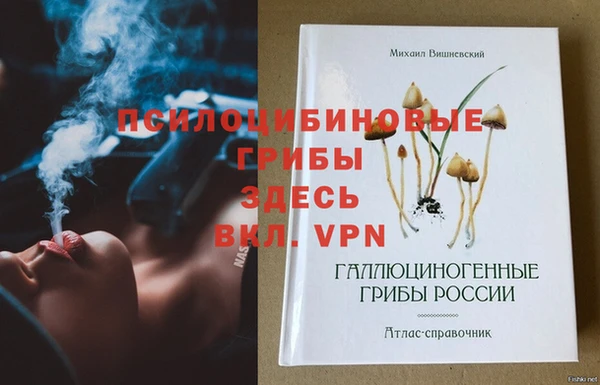 мескалин Елабуга