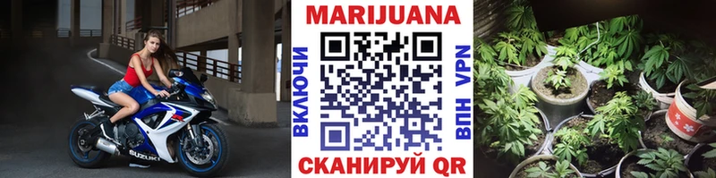 Купить где  Мышкин  МАРИХУАНА сатива 